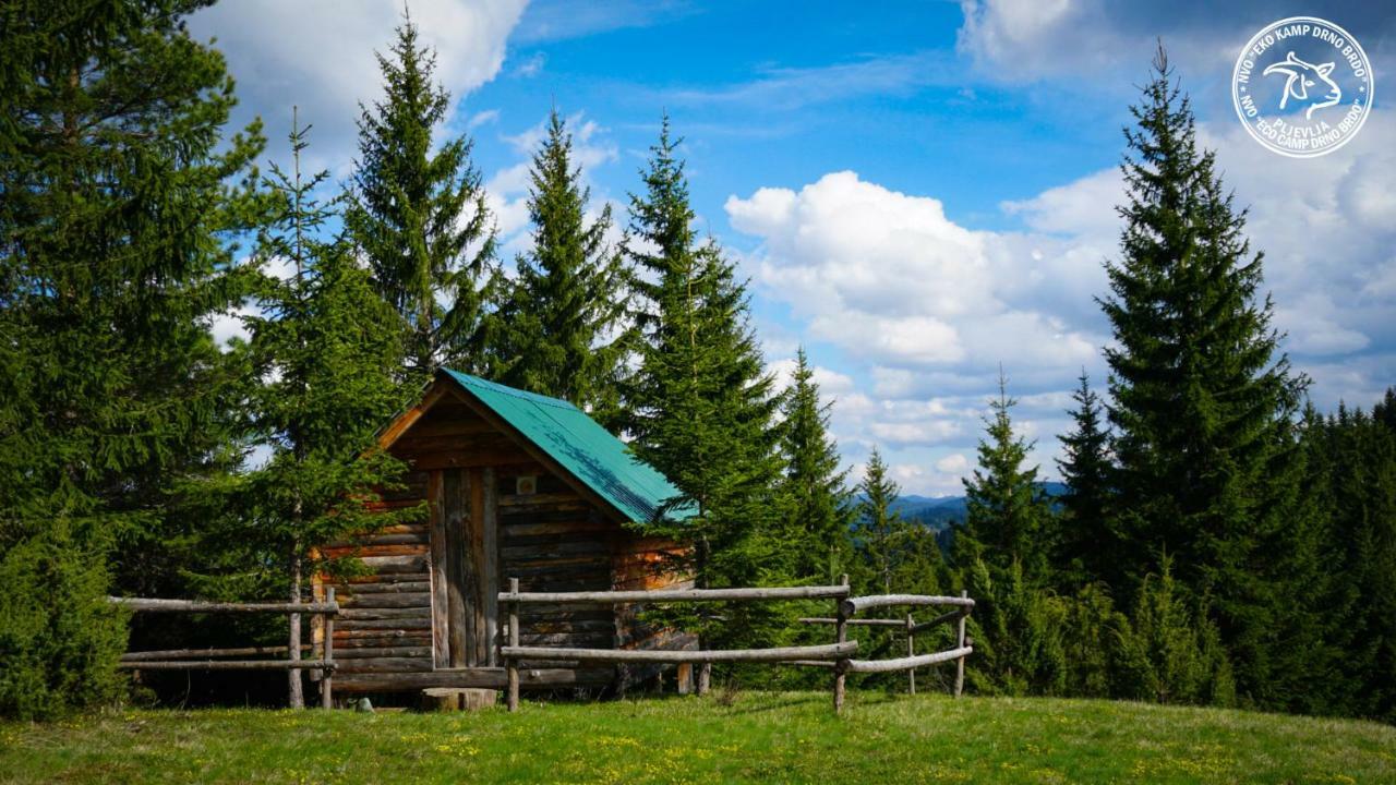 Eco Camp Drno Brdo Villa Kosanica Buitenkant foto