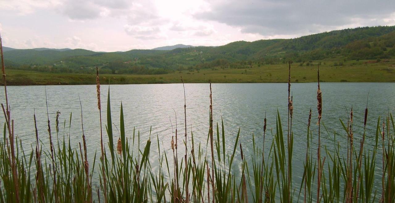 Eco Camp Drno Brdo Villa Kosanica Buitenkant foto
